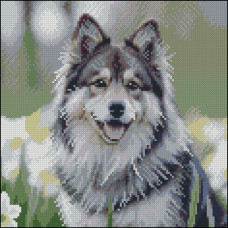 Алмазная мозаика 