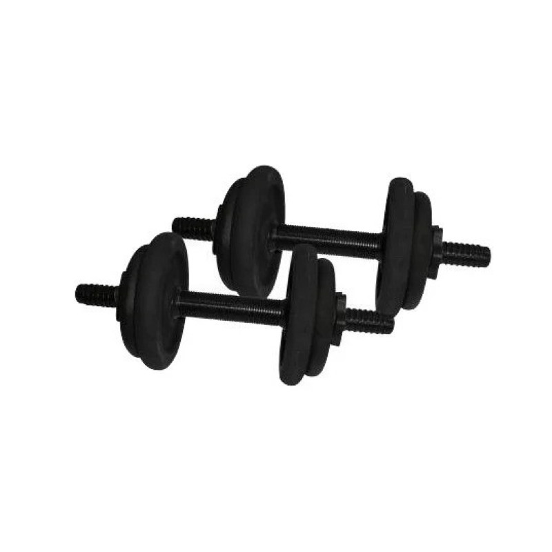 Гантели наборные литые 2 шт по 6,5 кг NE-300-GP007-2