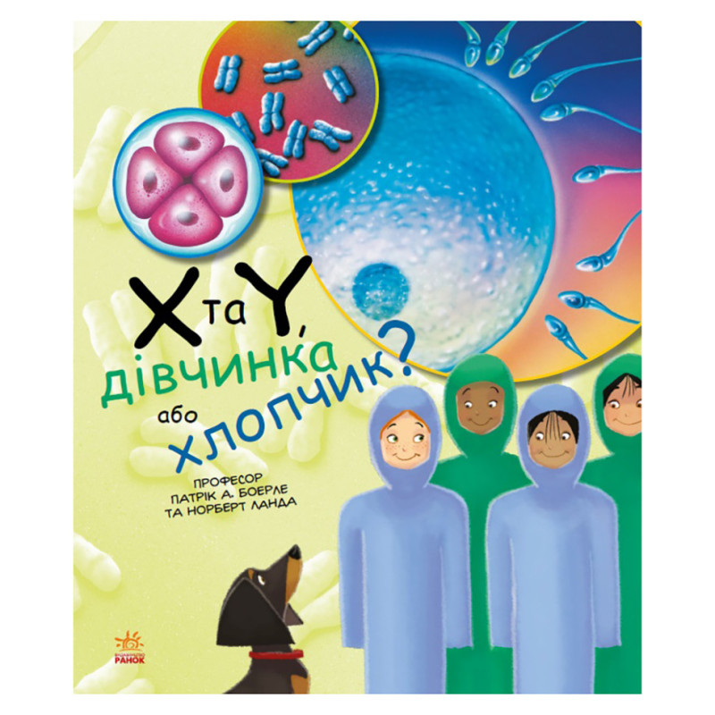 Обучающая книга 