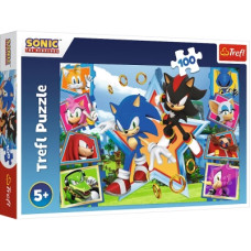 Пазл Trefl Sonic Зустрічайте Соніка 100 елементів (5900511164657)
