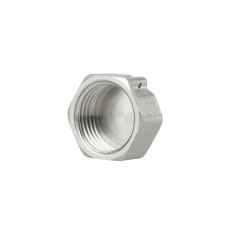 Заглушка Thermo Alliance Forte 1/2