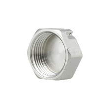Заглушка Thermo Alliance Forte 1