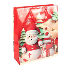 Пакет подарочный 