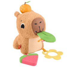 Розвиваюча іграшка Fisher-Price Капібара (HYR54)