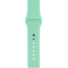 Ремешок для смарт-часов Armorstandart Sport Band (3 Straps) для Apple Watch 42 (Series 11-10)/41/40/38 Succulent (ARM65081)